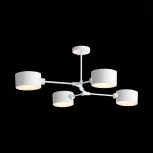 Потолочная люстра на штанге Evoluce Gimento SLE183502-04 (220V)