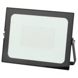 Прожектор уличный Эра LPR-021-0-65K-100