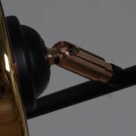 Потолочная люстра на штанге Reluce 11555-0.3-04 BK+FGD (220V)