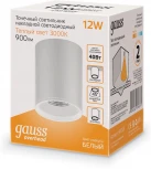 Накладной потолочный светильник Gauss HD030 12W 3000K (LED, 220V, круглые)