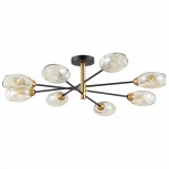 Потолочная люстра Evoluce Gloa SLE155502-08
