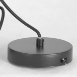 Подвесной светильник Lussole Lgo Strawberry LSP-8211 (220V, на проводе, шар, IP21)