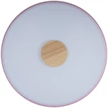 Потолочный светильник круглый Loft IT Axel 10003/24 Pink (LED, 220V, круглые)