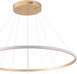 Подвесной светильник Zortes Ringolight ZRS.33325.75C (LED, 220V, на тросе)