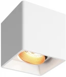 Накладной точечный светильник Denkirs DK3080-WBR