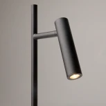 Торшер Maytoni Estudo Z010FL-L8B3K (LED, 220V, выключатель)