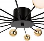 Потолочная люстра Freya Celebrity FR5242CL-16B (220V, шарики)