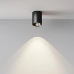 Накладной потолочный светильник Maytoni Alfa LED C064CL-8W4K-RD-B (220V, круглые)