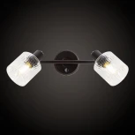 Спот на штанге Citilux Артик CL510525 (220V)