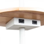 Торшер с полкой с usb Arte Lamp Combo A4056PN-1WH (220V, выключатель, круглые)