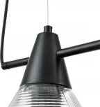 Подвесной светильник Lumion Corne 6595/4A черный/прозрачный, металл/стекло E27 4*60W 220V (на проводе)