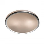 Настенно-потолочный светильник Odeon Light Yun 2177/2C