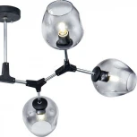 Потолочная люстра Freya Desi FR5006CL-06B