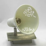 Спот Lussole Lgo Mcconnico GRLSP-8058 (220V, под старину, IP21)