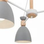 Потолочная люстра Freya Delia FR5033CL-05W