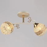 Потолочная люстра на штанге Reluce 03199-0.3-02 (220V)