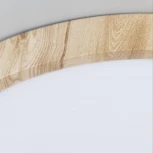 Настенно-потолочный светильник Citilux Бейсик CL738182V (регулировка яркости, LED, 220V, круглые, IP40)