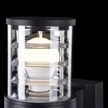 Настенный светильник уличный Maytoni Bronx O576WL-02B (220V, IP54)