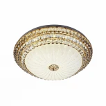 Потолочный светильник светодиодный с пультом с регулировкой цветовой температуры и яркости LED4U LED4U L1101-450 GD