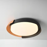 Круглый потолочный светильник с пультом LED Lu Carte LC-11-1733