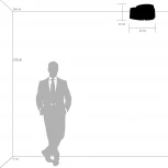 Потолочный светильник Lightstar PITTORE 811030