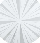 Настенно-потолочный светильник Eglo Mars 1 89239 (220V)