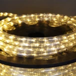 Дюралайт светодиодный Sneha 13-2W-100M-220V-LED-U WW