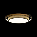 Потолочный светильник круглый Mike 10169 (LED, 220V, круглые)