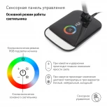 Офисная настольная лампа Эра NLED-460-14W-BK-S