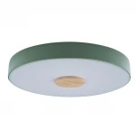 Потолочный светильник круглый Loft IT Axel 10003/24 Green (LED, 220V, круглые)