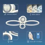 Потолочная люстра Rivoli Leidiane 6097-104