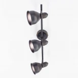 Спот на штанге Citilux Опус CL502532 (220V, выключатель, круглые)