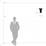 Настенный светильник Lightstar Zucche 820620 (220V, ваза)