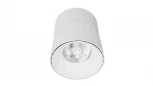 Накладной точечный светильник Lumina Deco Maxton LDC 8054-12W WT (LED, 220V, круглые)