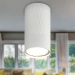 Точечный светильник ЭРА OL31 WH (220V)