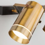 Спот Eurosvet Bronze 20063/2 античная бронза