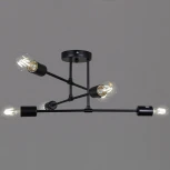 Потолочная люстра на штанге Reluce 01648-0.3-06 BK