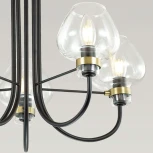 Потолочная люстра Lumion Ilona 3708/5C