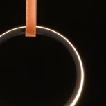 Подвесной светильник DeMarkt Ральф 675015901 (LED, 220V, на проводе, кольцо)