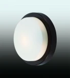 Настенно-потолочный светильник Odeon Light Holger 2744/1C