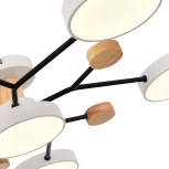 Потолочная люстра на штанге Evoluce Faema SLE6006-502-06