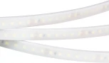 Светодиодная лента герметичная RTW-PW-A120-10mm 24V Warm2700 (9.6 W/m, IP66, 2835, 5m) (Arlight, Герметичный) 018997(2)