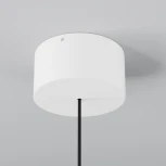 Подвесной светильник уличный IP54 LED Maytoni Apex O491PL-L8W3K (220V, на проводе, круглые)