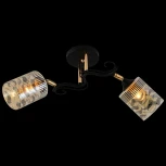 Потолочная люстра на штанге Reluce 11313-0.3-02 BK+FGD