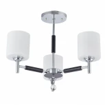 Потолочная люстра на штанге Arte Milano Napoli-2220 332220/3 CR