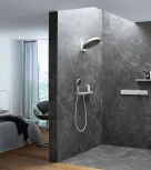Душевая лейка Hansgrohe Rainfinity 26864700