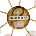 Потолочная люстра на штанге Lumion Larina 8323/8C латунь/белый, металл/стекло/дерево E27 8*60W 220V