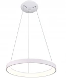 Подвесной светильник Deko-Light Merope 342197 (LED, 220V, на тросе, кольцо)