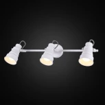 Спот на штанге Citilux Бейкер CL541530 (220V, выключатель, круглые)