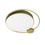 Настенно-потолочный светильник Loft IT Mike 10063 (LED, 220V, круглые)